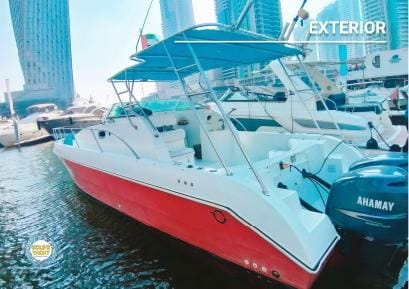 Explorer Goldeon Treasure 40 Yacht — photo 4