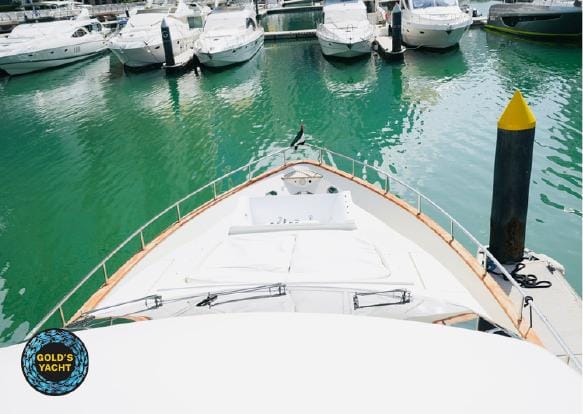 Voyager Elite Azarat 85 Yacht — photo 6