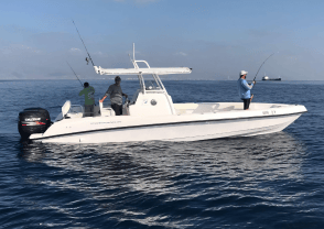Explorer Goldeon Quest 36 Yacht — photo 1