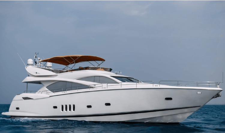 Voyager Elite Meg 87 Yacht — photo 1