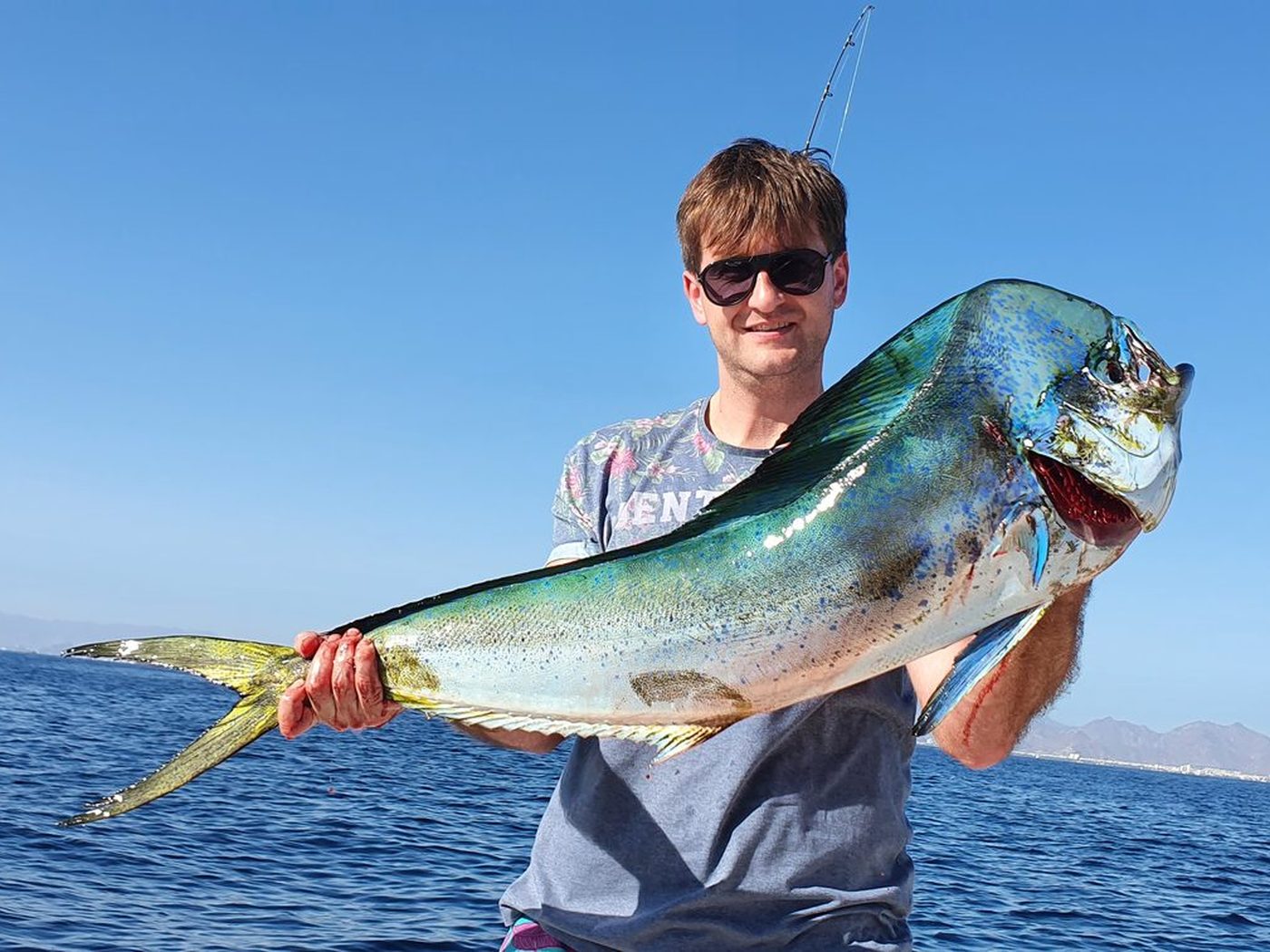 A guest holding a large dorado, open water and the Fujairah coast behind