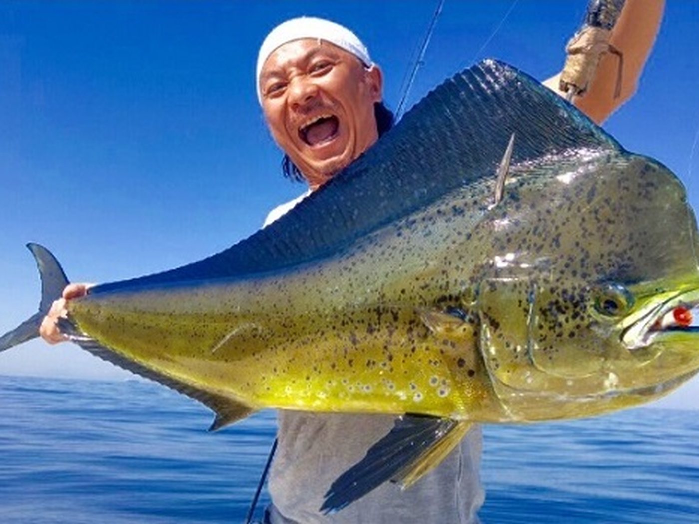 A guest holding a big dorado close to the camera on a fishing boat off Fujairah