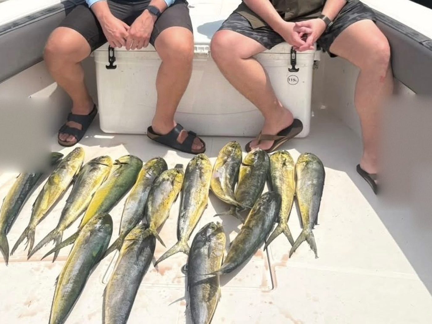 A deck full of dorado after a fishing charter out of Fujairah