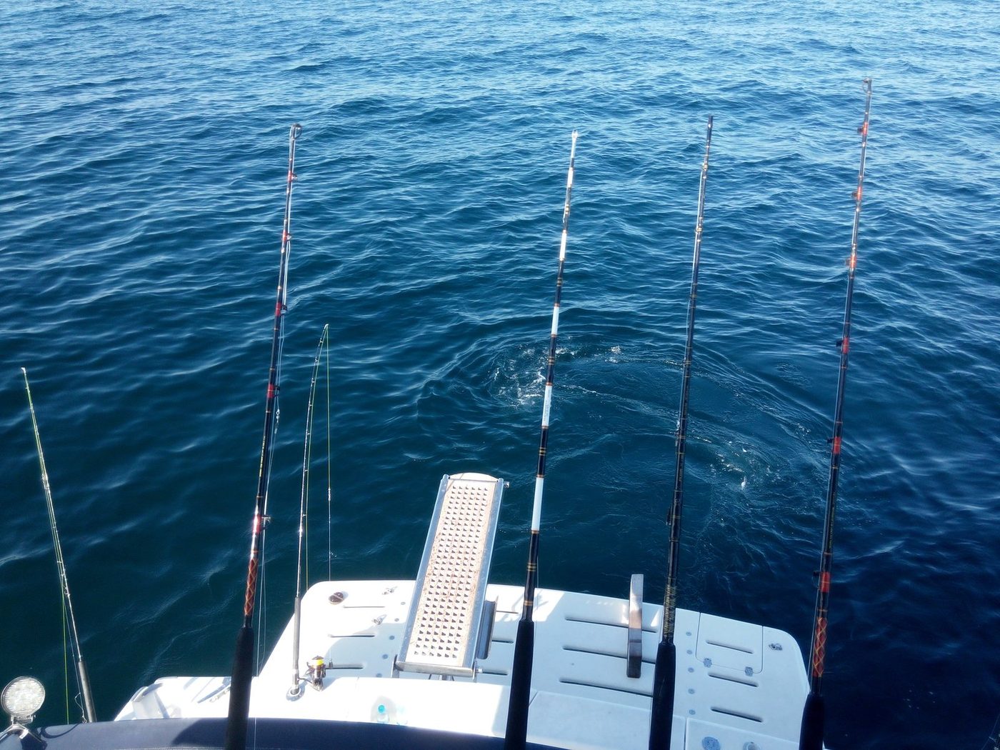 Five trolling rods fanned out over deep blue water on a fishing charter